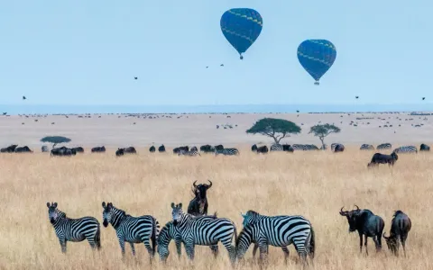 Kenya Adventure